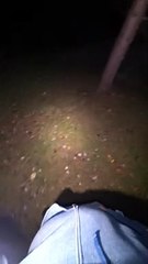 Pouncey Frolics at 4 AM