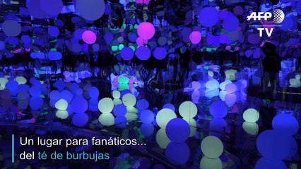 Locos por el té de burbujas
