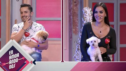 ¿Será que Galo puede dejar de BESAR a sus flechadas como lo prometió? | Enamorándonos