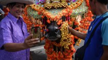 Southern Thailand holds annual buffalo beauty pageant