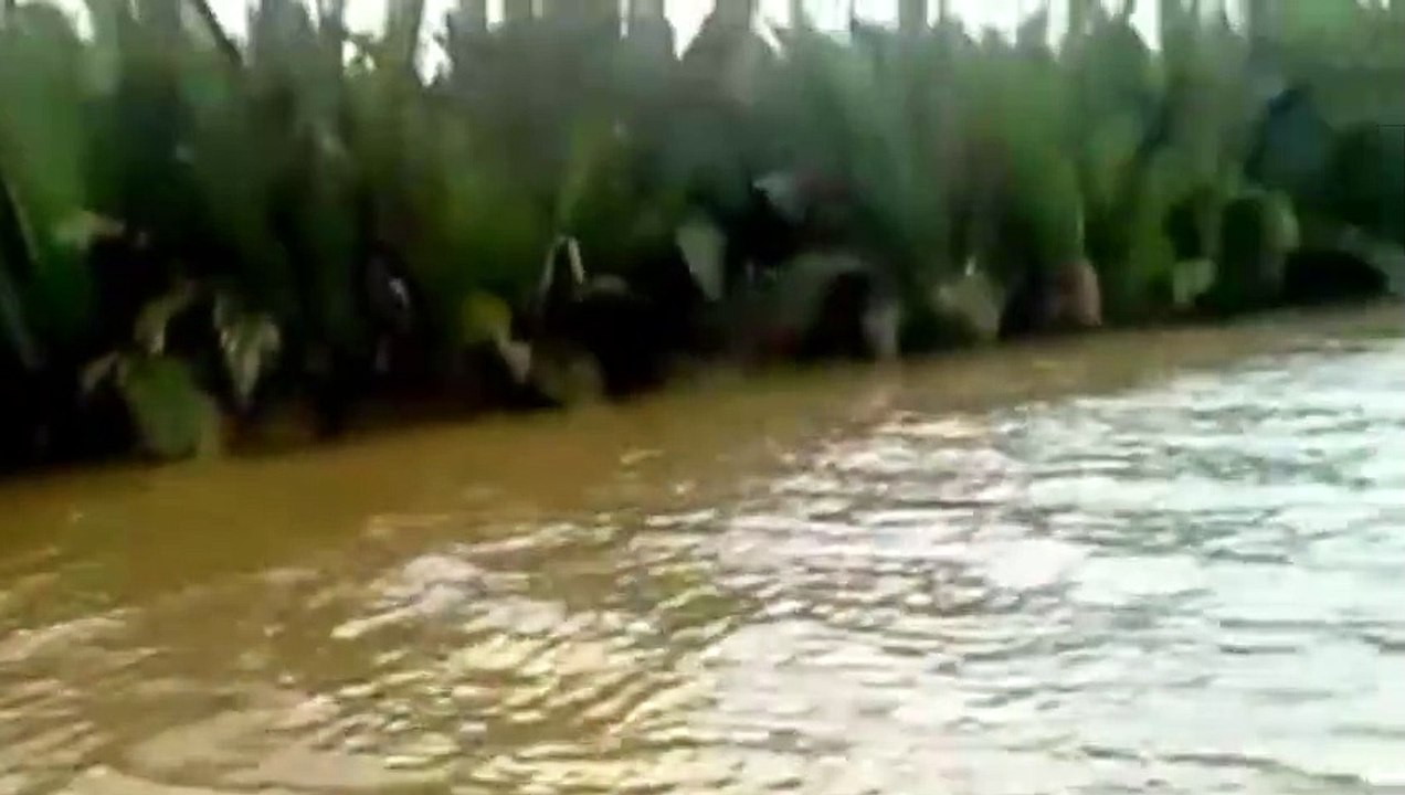 Look what people found when he was scouting in a river