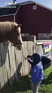 Ce cheval a pris le pull de ce pauvre enfant pour de la nourriture