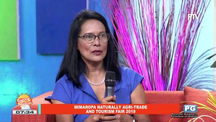 ON THE SPOT: MIMAROPA Naturally Agri-trade and Tourism Fair 2019