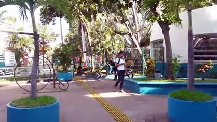 Acuario Mazatlán | 2019 | Parte 2