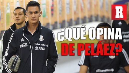 Lo que opina Raúl Gudiño de Peláez