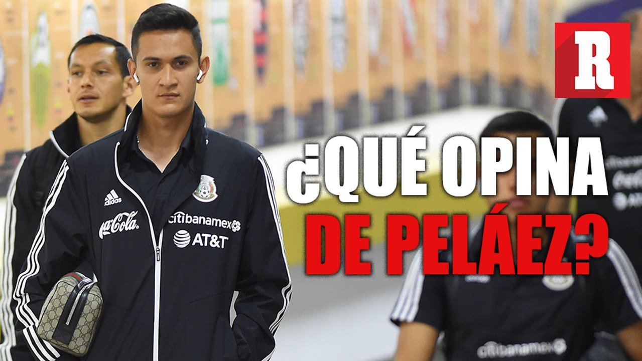 Lo que opina Raúl Gudiño de Peláez