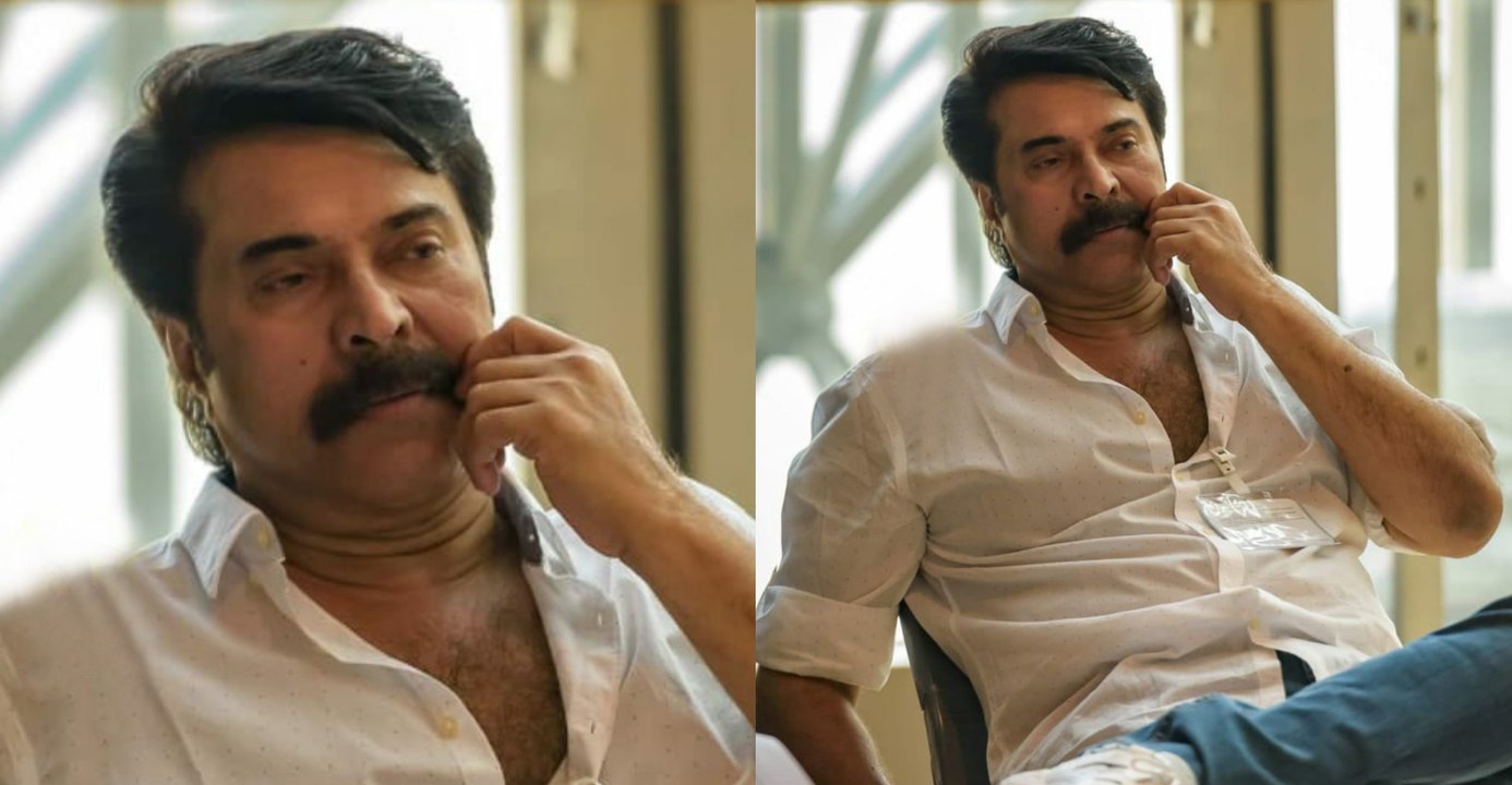 Shylock and Big Brother To Fight It Out For Christmas | FIlmiBeat Malayalam