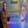 Dost Ghamkhwari Mein Meri Sahi - Rahat Fateh Ali Khan - Ghazal Mirza Ghalib