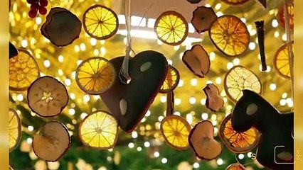 এবার লেবু দিয়েই সাজান আপনার বাড়ি !