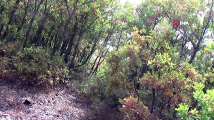 Bingöl’de terörün beli 4 bin operasyonla kırıldı, 35 terörist etkisiz hale getirildi