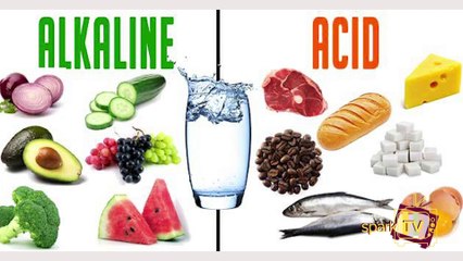 காலை நேரத்தில் சாப்பிட வேண்டிய சிறந்த உணவுகள் எவை?