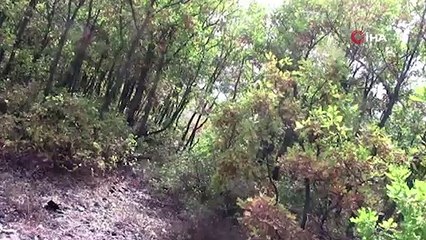 Bingöl’de 35 terörist etkisiz hale getirildi