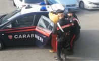Bologna - Traffico internazionale di droga: 18 arresti (16.10.19)