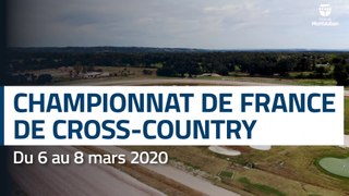 Championnats de France de cross-country