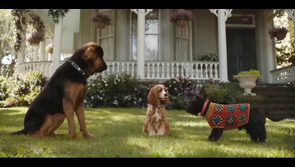 "Lady and the Tramp"tan ikinci fragman