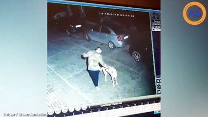 Un homme rencontre un chien en pleine nuit, sa réaction va vous émouvoir !