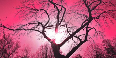 Se topa mientras circulaba con su coche con este gigantesco resplandor rosa que ilumina el cielo nocturno