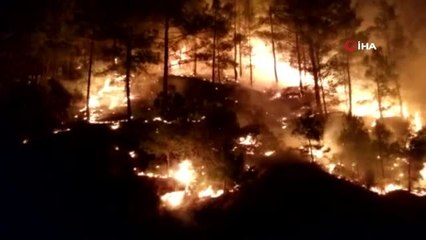 Erdemli'de 10 hektar kızılçam ormanı yandı