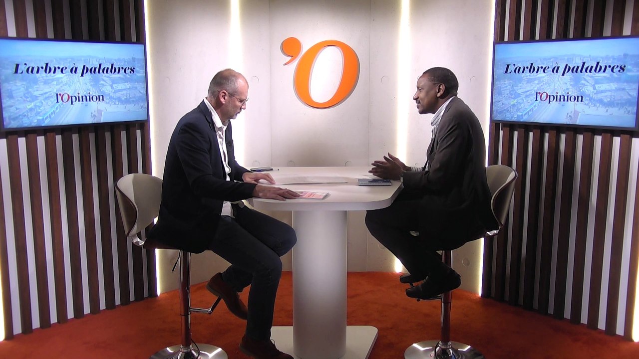 Seidik Abba (journaliste): «Boko Haram a développé une forme d’autofinancement tiré de la guerre»
