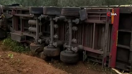 Şişe yüklü tır zeytin bahçesine devrildi