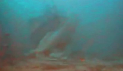 Migranti, barca affonda a Lampedusa: 12 morti, madre e bimbo abbracciati (16.10.19)