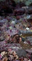 checking multiple noti