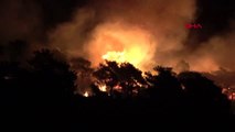 Mersin erdemli'deki yangında 15 hektar çam ormanı küle döndü