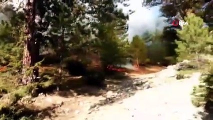 Amasya’da orman yangını