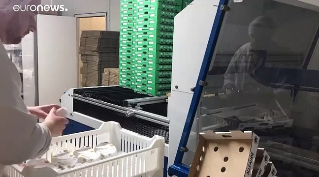 Последствия пожара на химзаводе в Руане