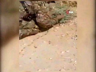 Resulayn ve Tel Abyad'da mayın temizleme çalışmaları yapıldı