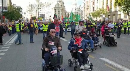 Manifestación de pensionistas en Madrid