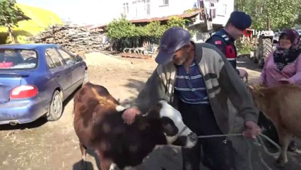 Çalınan büyükbaş hayvanlarına kavuşan vatandaşların sevinci