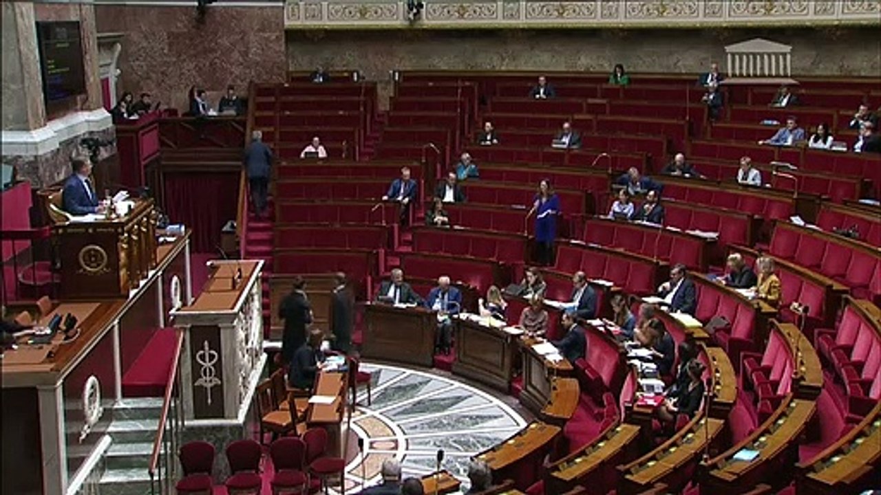 débat délégation bioéthique 2