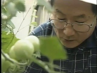 NEWS23 筑紫哲也 裁判官の評価　2000.8.24