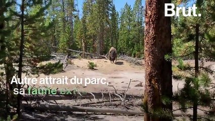 Aux États-Unis, un itinéraire propose le road trip parfait dans les Rocheuses