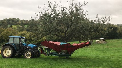 Calvados. Au pays de la pomme, le parapluie fait le beau temps