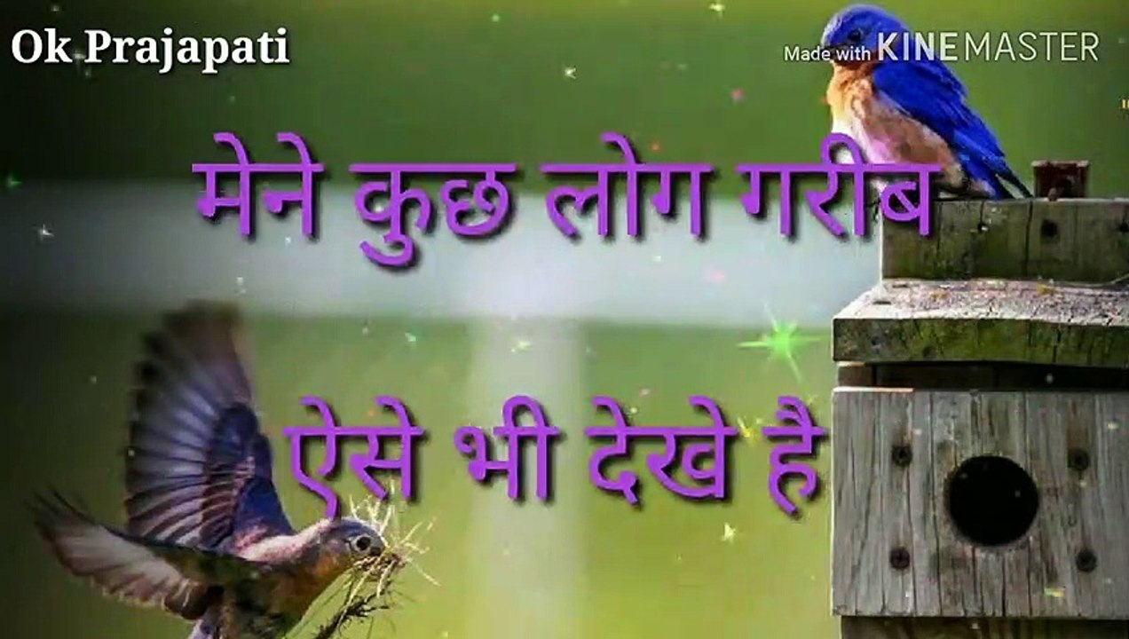 Motivation shayari video |