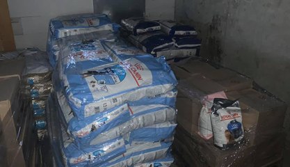 Un réseau de trafic de croquettes à été démantelé !