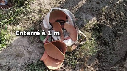 Enterré à 1 m de profondeur,  ce nouveau-né réussi à survivre !