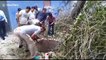 Firefighters rescue bull from 40ft well in India