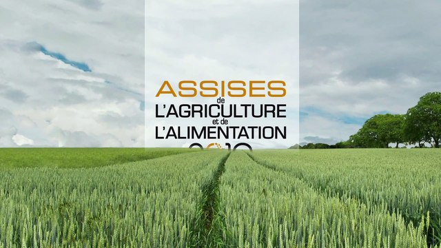 Assises de l’agriculture et de l’alimentation 2019-Témoignage, Marc Motureux