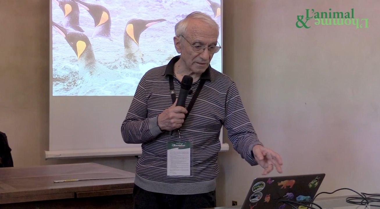 Conférence de Pierre Jouventin : Les manchots ne sont pas des pingouins
