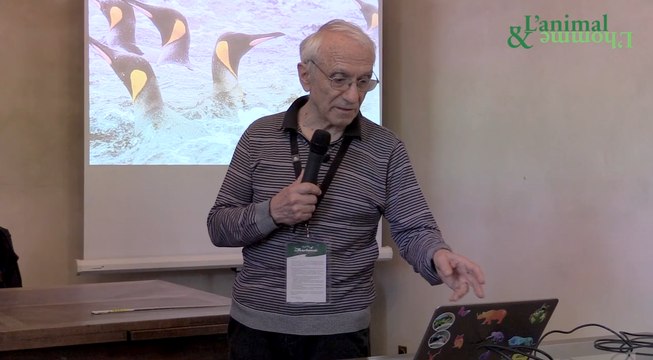 Conférence de Pierre Jouventin : Les manchots ne sont pas des pingouins