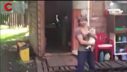 Uyuşturucu taşıyan kedi kayıplara karıştı