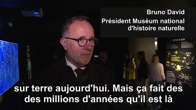 Une étrange créature s'expose à Paris, le blob