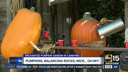 Check out the Enchanted Pumpkin Garden in Carefree