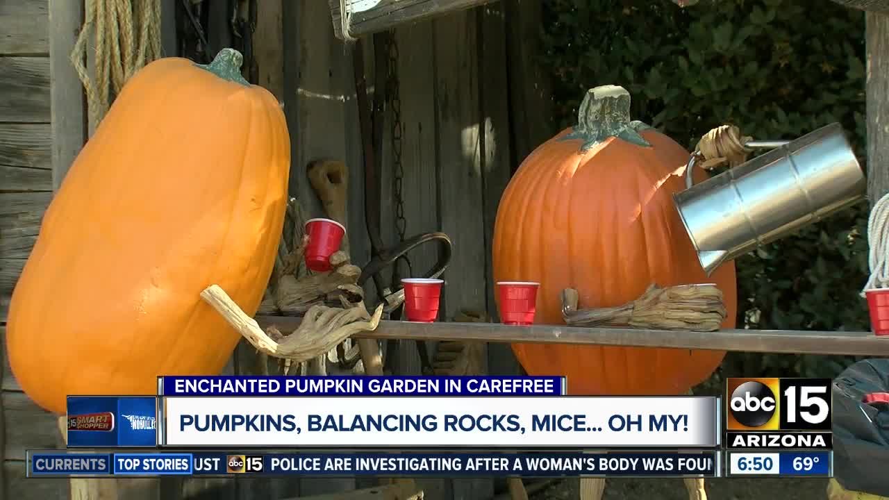 Check out the Enchanted Pumpkin Garden in Carefree