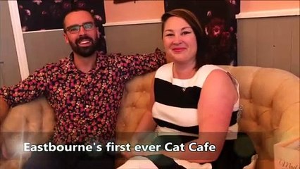 Eastbourne's first cat cafe opens