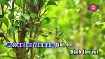 Dạ Khúc Mưa (Karaoke) - Đàm Vĩnh Hưng