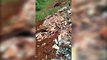 Descarte de lixo e animais mortos causa revolta em moradores do Bairro Interlagos
